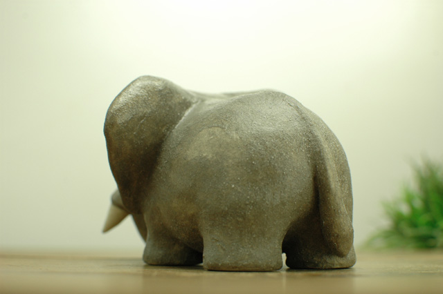 ゾウ